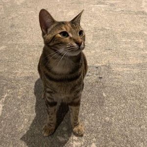 Meet your Posher, Krista